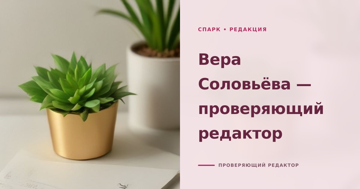 Профиль проверяющей «Спарка» Веры Соловьёвой: латунный нож для бумаг на стопке документов