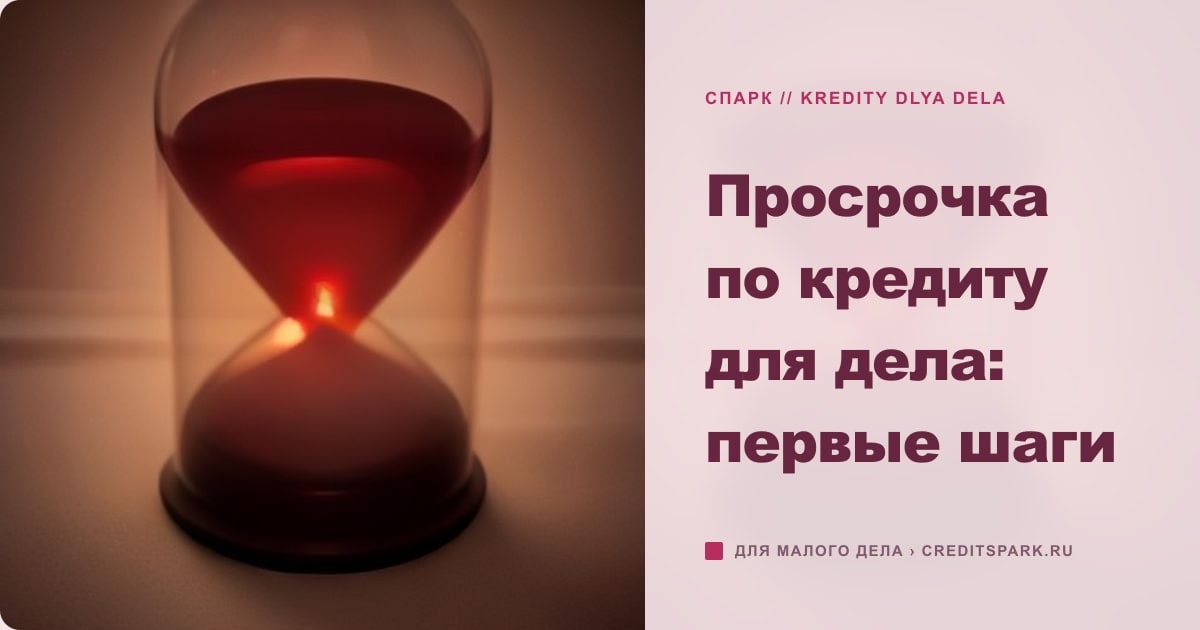 Иллюстрация к статье «Просрочка по кредиту для дела: первые шаги»